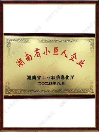 湖南省小巨人企业